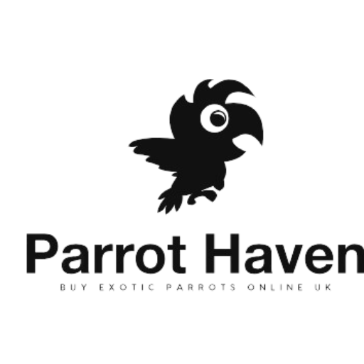 Parrot Haven logo