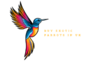 PARROT HAVEN