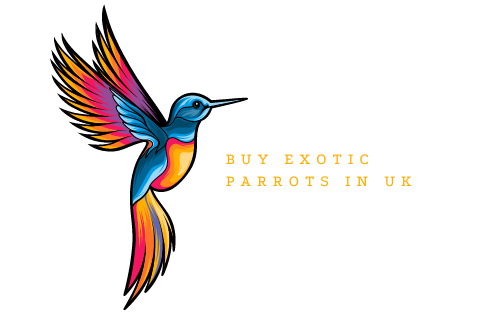 PARROT HAVEN